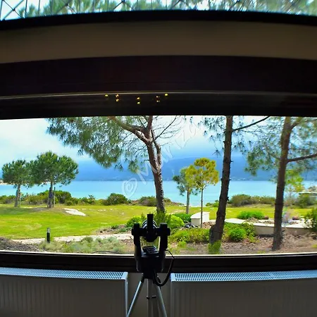 Beyond Paradise Villa