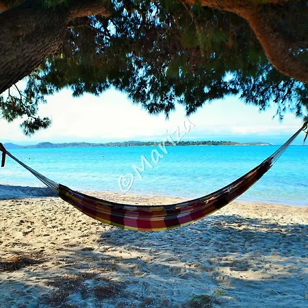 Beyond Paradise